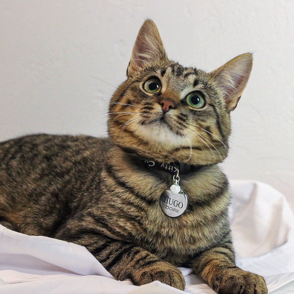 Personalizēts mājdzīvnieka ID piekariņš / tags sudraba krāsā, apaļš.