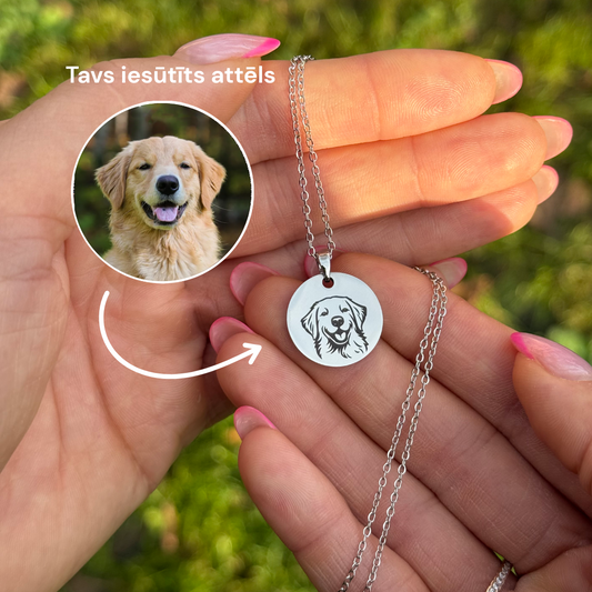 Mājdzīvnieka piemiņas kaklarota sudraba krāsā